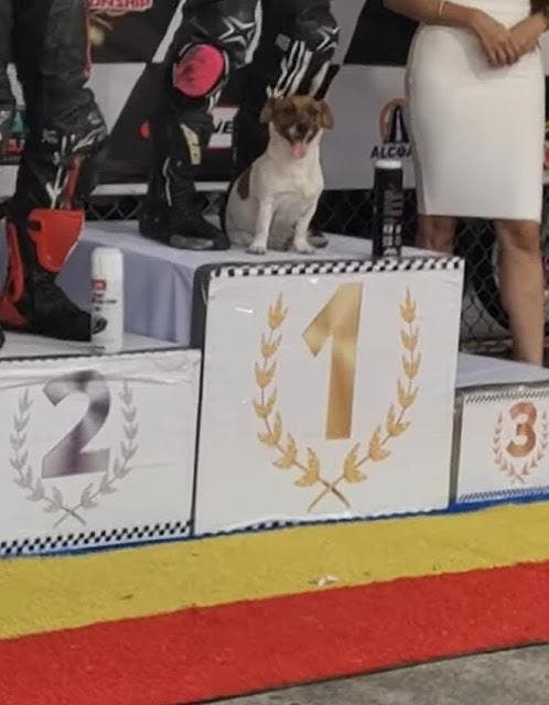 Le chien Aiko avec son propriétaire Timothy Dulatre sur le podium