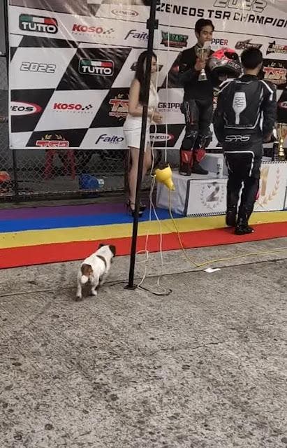 Le chien Aiko s’approche du podium