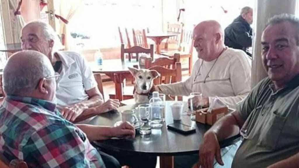 Le chien Corchito assis avec les clients