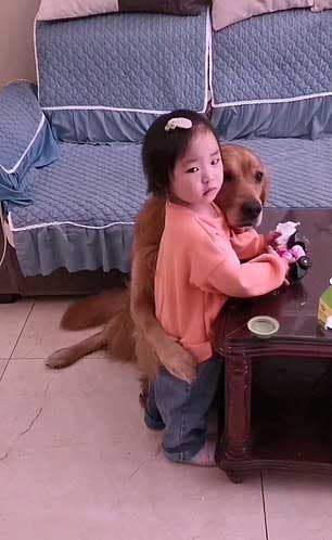 Le chien Harry protège la petite fille1
