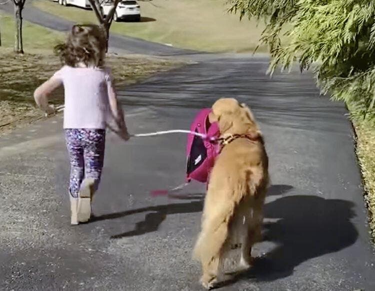 Le chien avec la jeune fille
