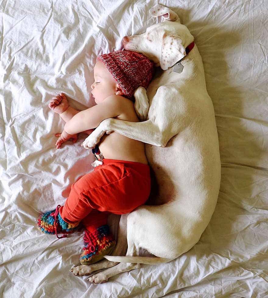 Le chien dort avec le bébé Archie