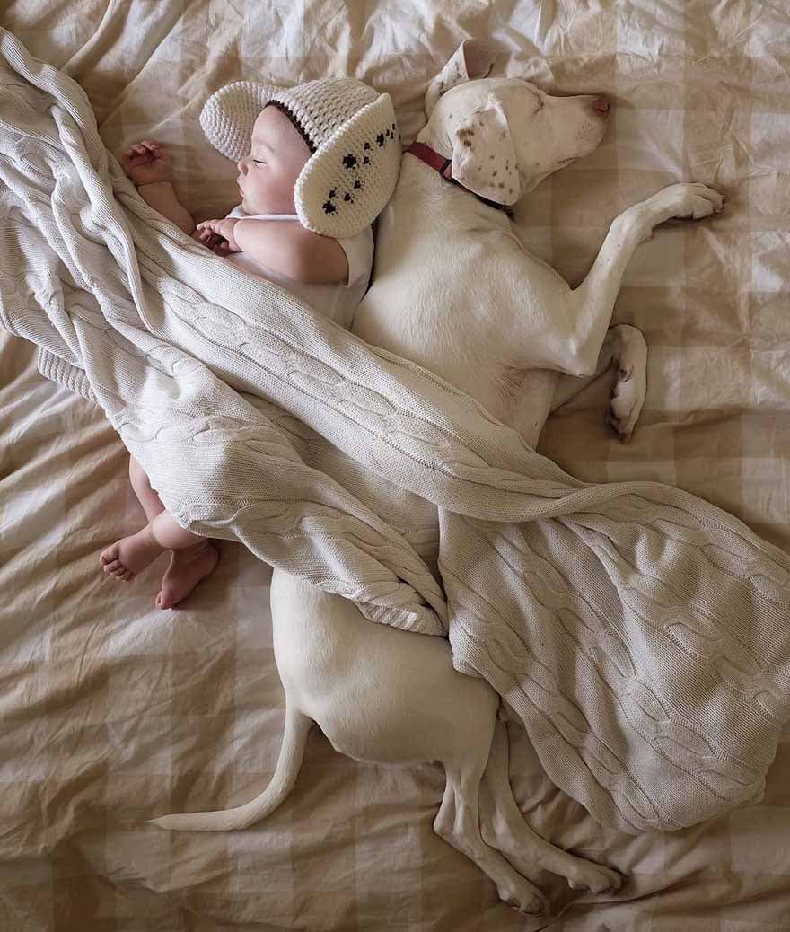 Le chien dort avec le bébé Archie3