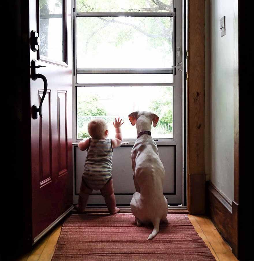 Le chien et le bébé Archie