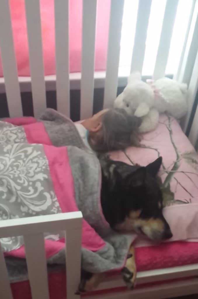 Le chien qui dort à côté du bébé
