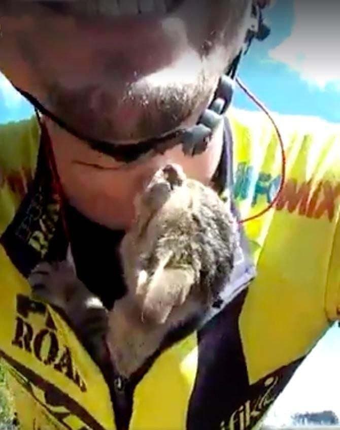 Le cycliste Vitor Fonseca avec le chaton1