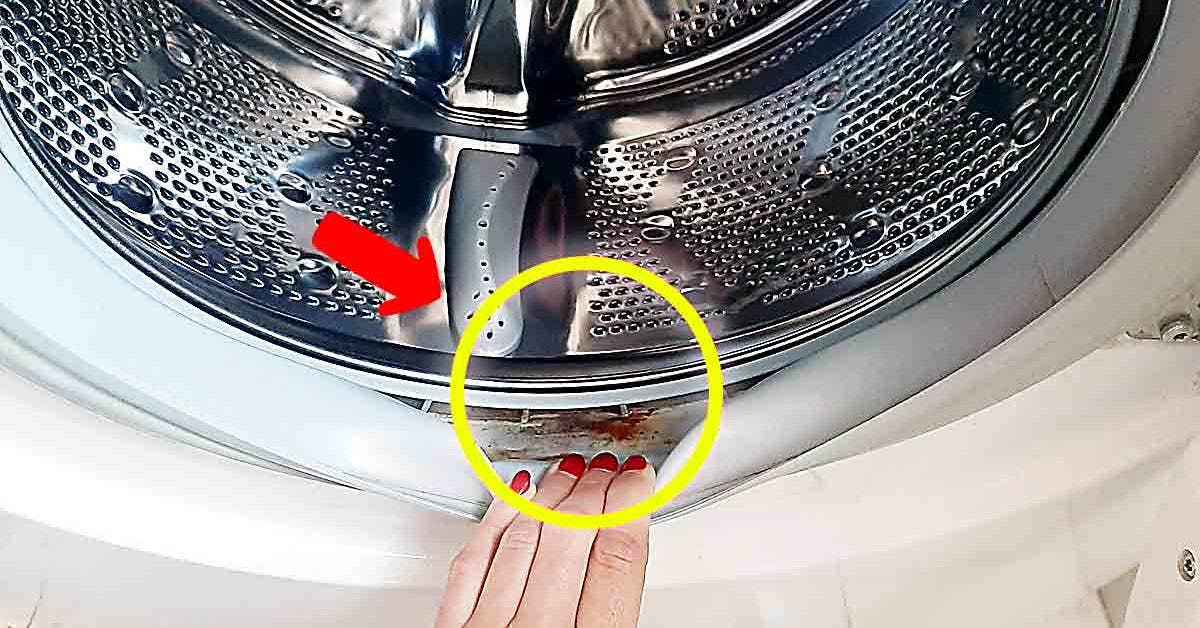 Comment remplacer le joint de porte sur une machine à laver