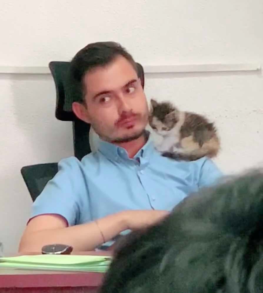 Le professeur et le chat