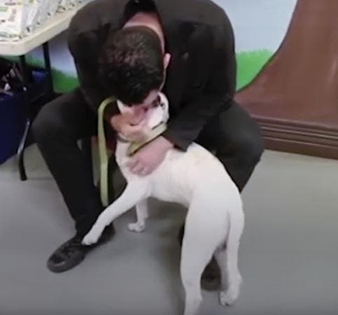 Lee Asher embrasse un chien