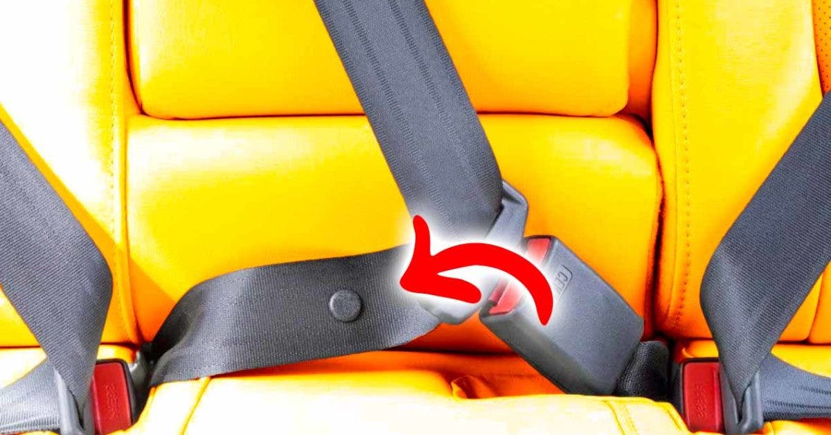 Pour se protéger de la ceinture de sécurité 