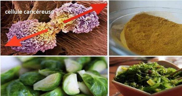 Cancer cells hate these 6 foods. Now is the time to start consuming them!