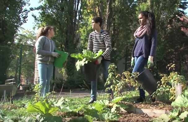 Les élèves du collège faisant du jardinage