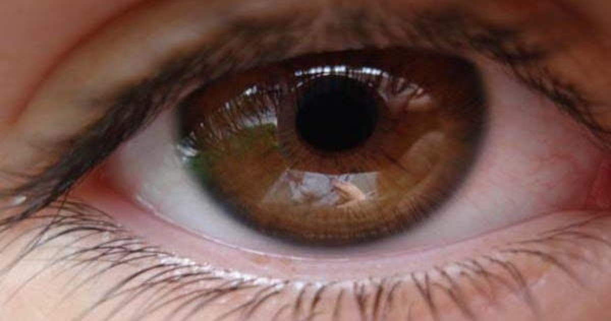 Les Personnes Aux Yeux Marrons Sont Extraordinaires D Apres La Science