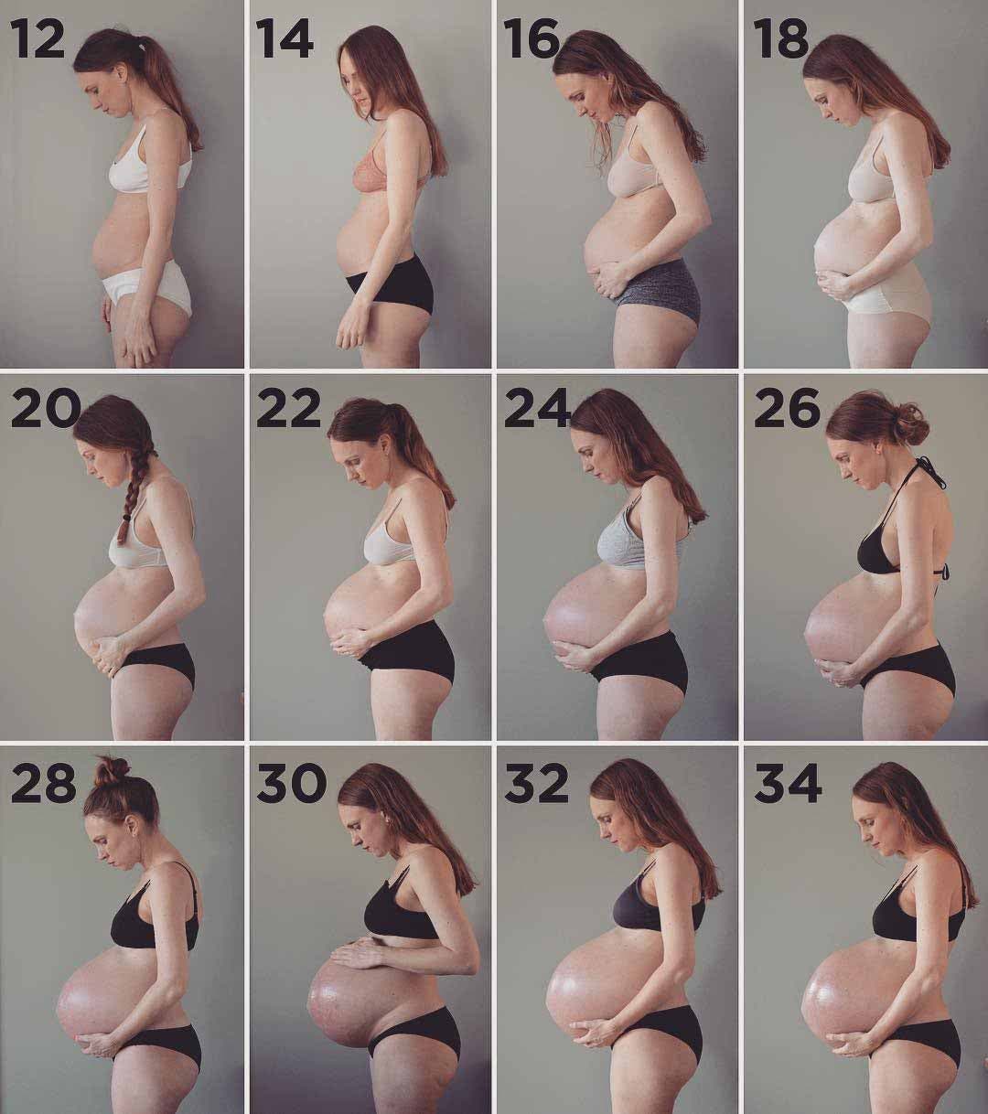 L’évolution de la grossesse sur 34 semaines