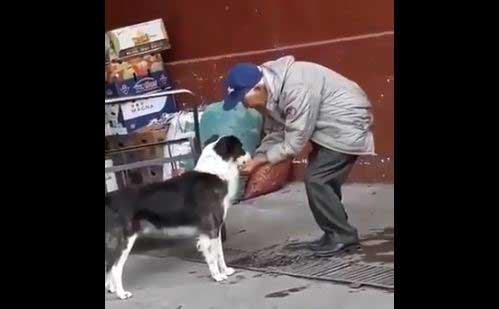 L’homme donne au chien à boire