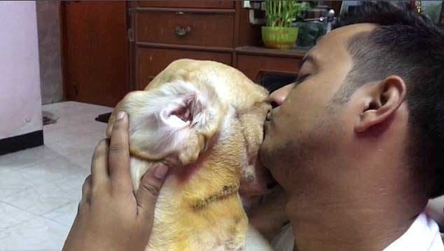 L’homme en train d’embrasser son chien
