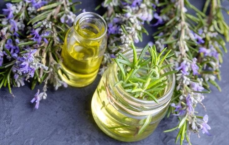 rosemary oil