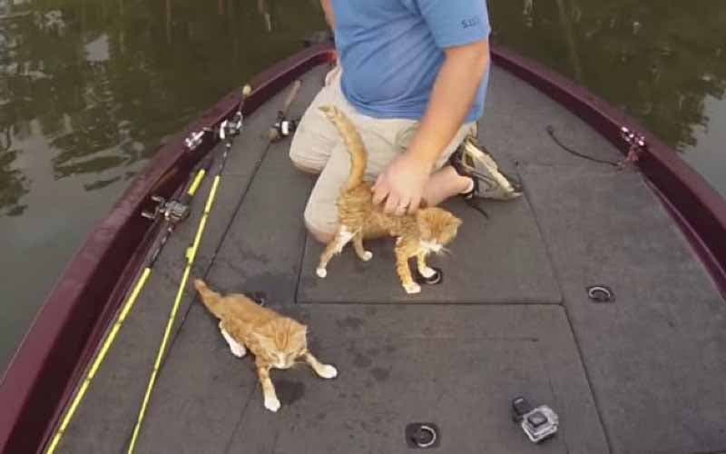 L’un des pêcheurs caressant un chat sur une barque