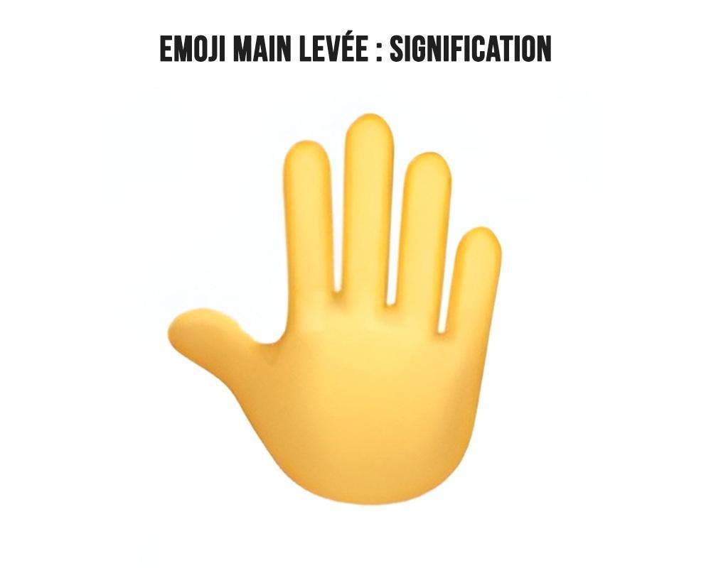 Emoji main levée