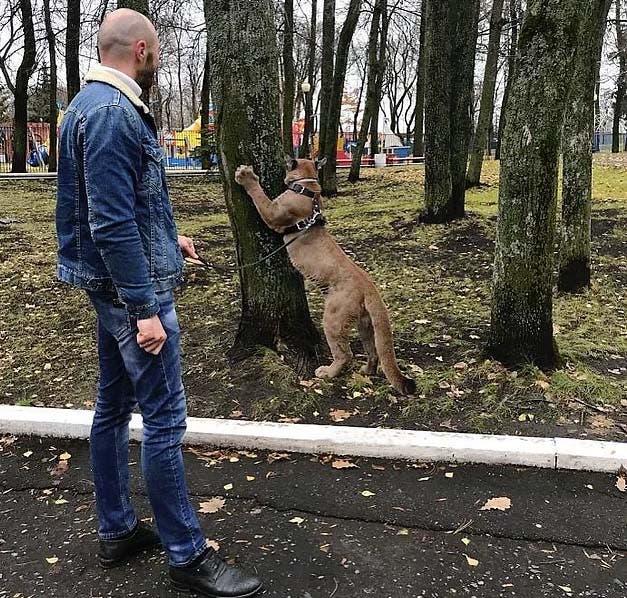 Messi en compagnie de son propriétaire