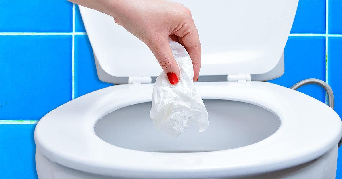Jeter lingettes dans les toilettes WC : quelles conséquences
