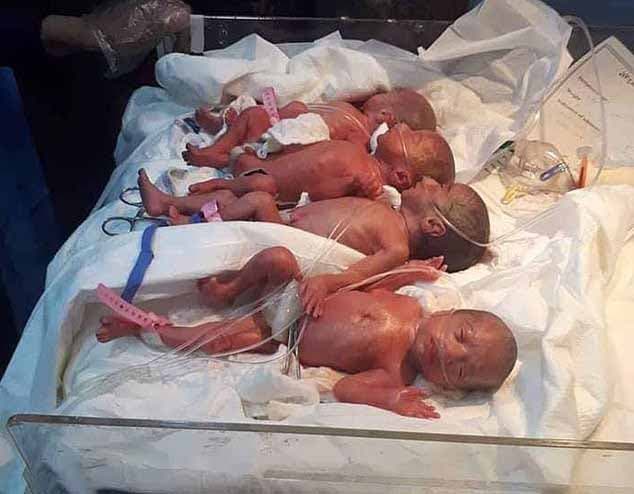 Photo de quatre des nouveau-nés, en bonne santé après avoir subi un examen médical