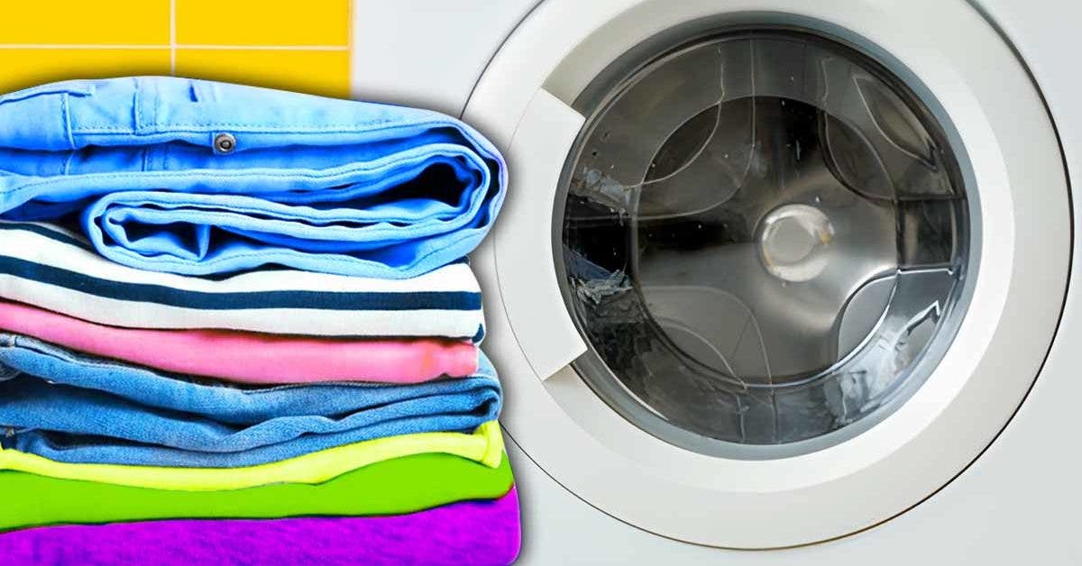 Pourquoi il ne faut (presque) pas laver les vêtements en laine et autres  conseils de lavage - Coccinelles et compagnie