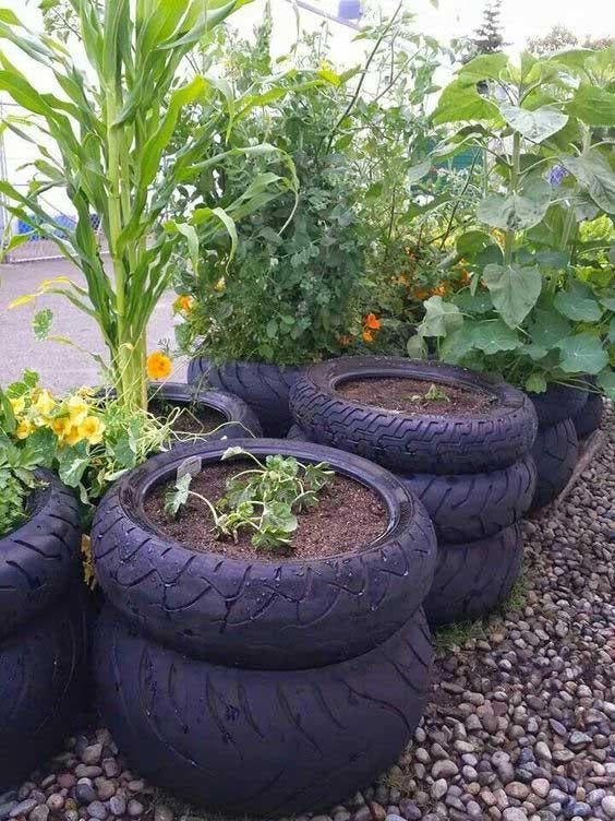 Recycler les vieux pneus en bac de culture