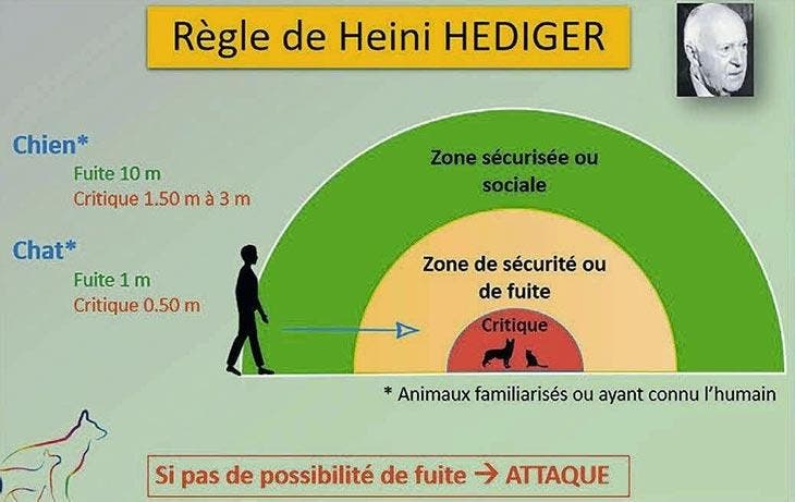 Règles de heini hediger pour retrouver son animal de compagnie