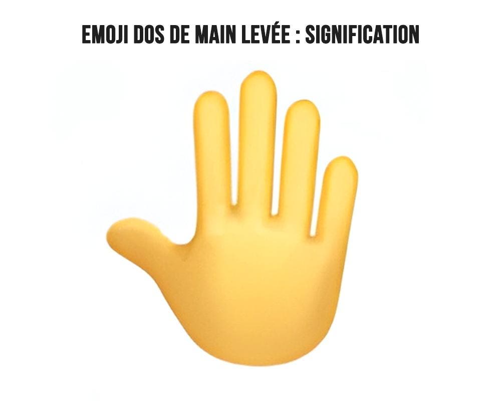 Emoji dos de main levée