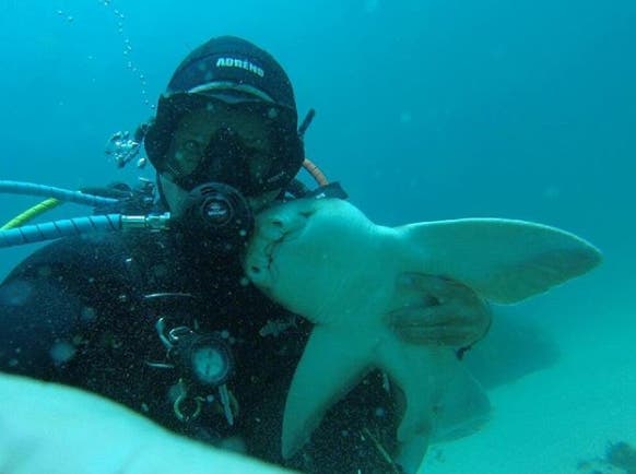 Rick Anderson en compagnie de la femelle requin