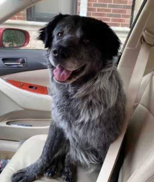 Sanford qui semble heureux dans la voiture de karen