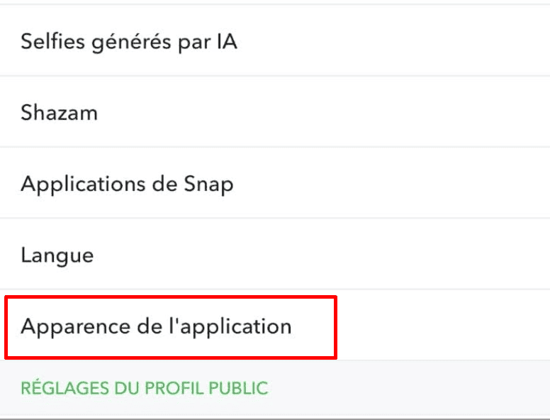 Scrollez vers le bas et sélectionnez Apparence de l'application