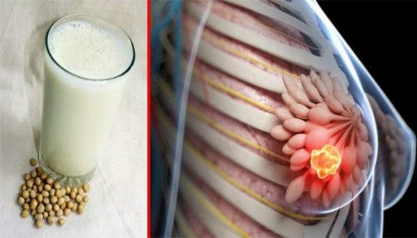 If you drink soy milk, you must know this