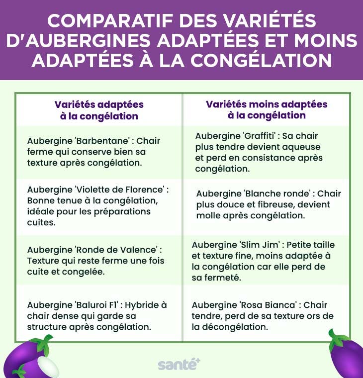 Tableau comparatif des variétés d'aubergines adaptées et moins adaptées à la congélation en France