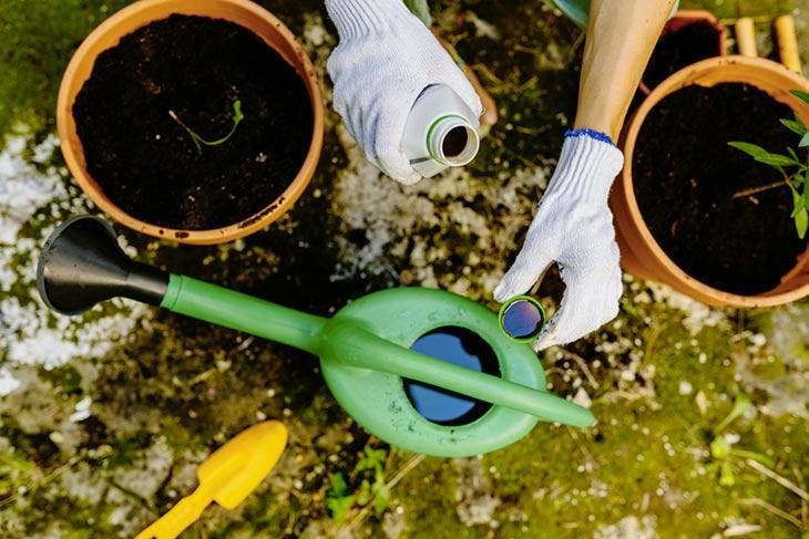 Tratamento de plantas