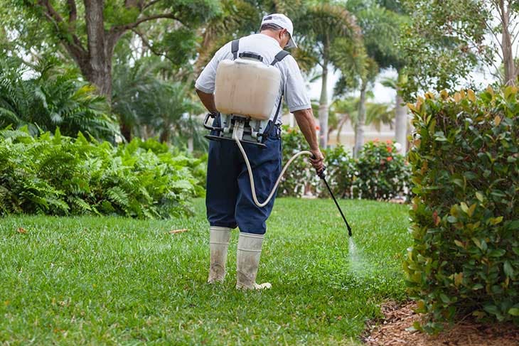 Traiter le jardin avec des pesticides