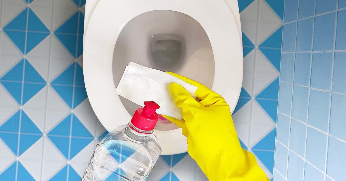 Top 10 des erreurs à ne pas faire avec le papier-toilette, un