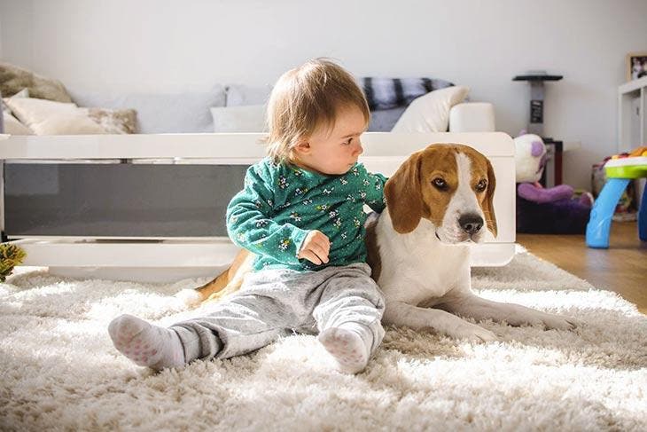 Un bébé joue avec un chien