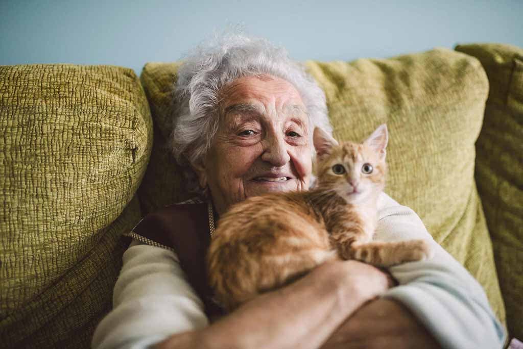 Un chat avec une femme âgée