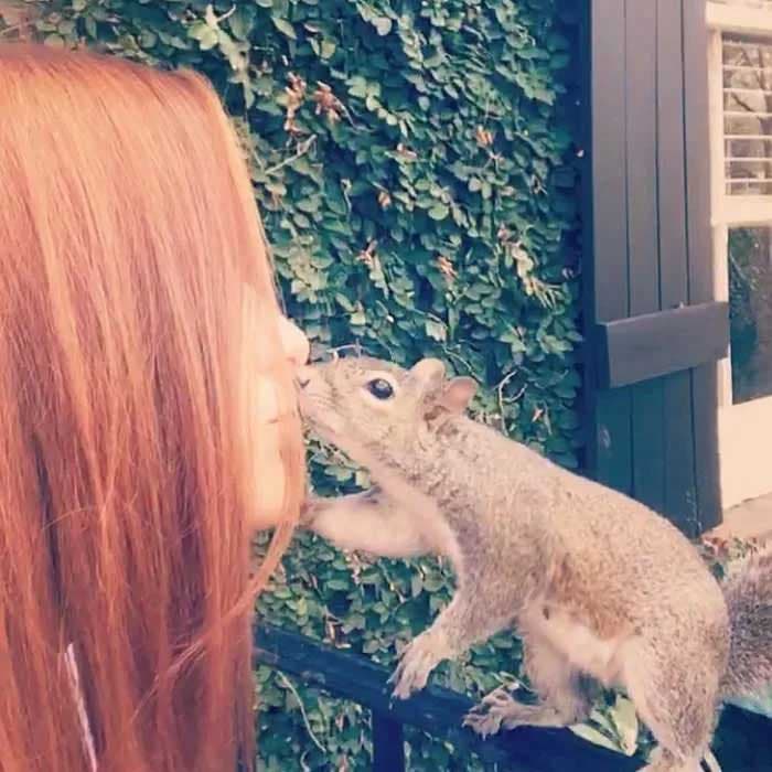 Un écureuil embrasse la femme