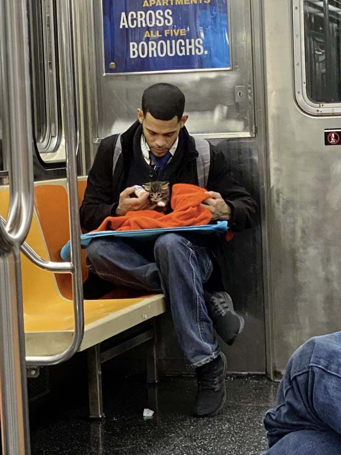 Un hombre cuida a un gatito en el metro