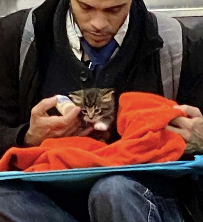 Un hombre cuida a un gatito en el metro1