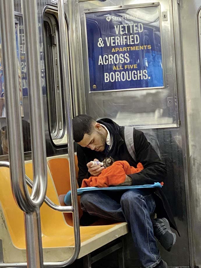 Un hombre cuida a un gatito en el metro2