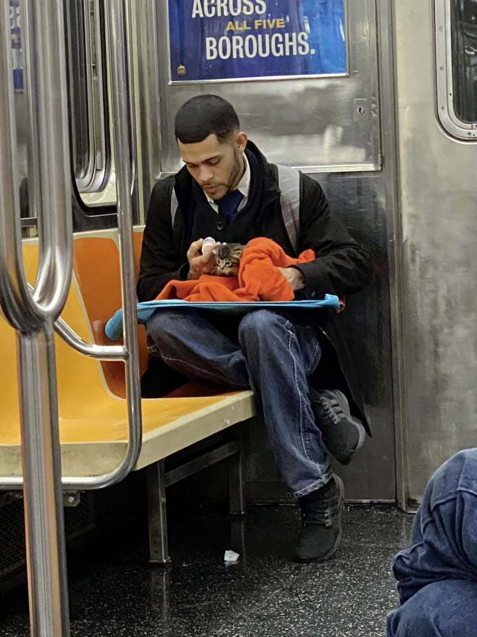 Un hombre cuida a un gatito en el metro3