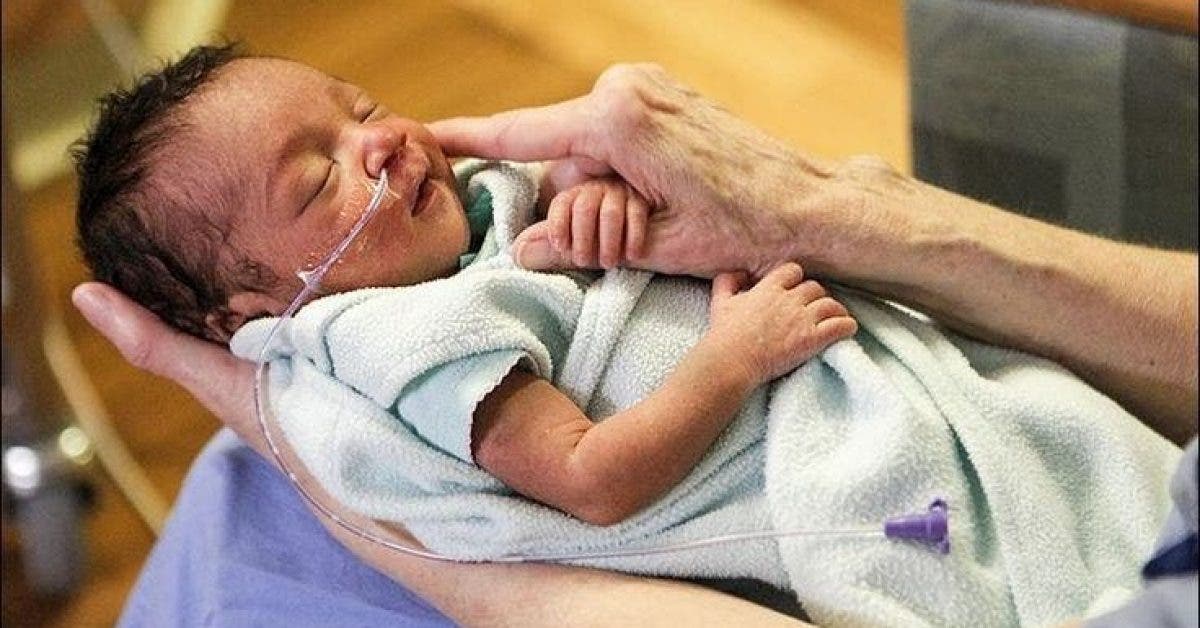 Un Hopital Est A La Recherche De Benevoles Pour Caliner Des Bebes Prematures