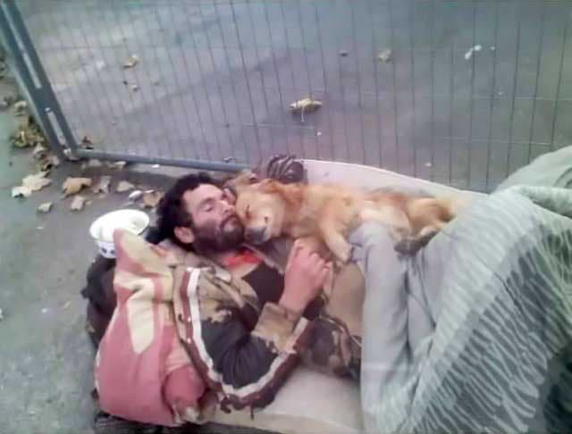 Un sans-abri dort avec son chien