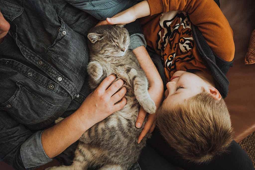 Une mère et son fils jouent avec un chat