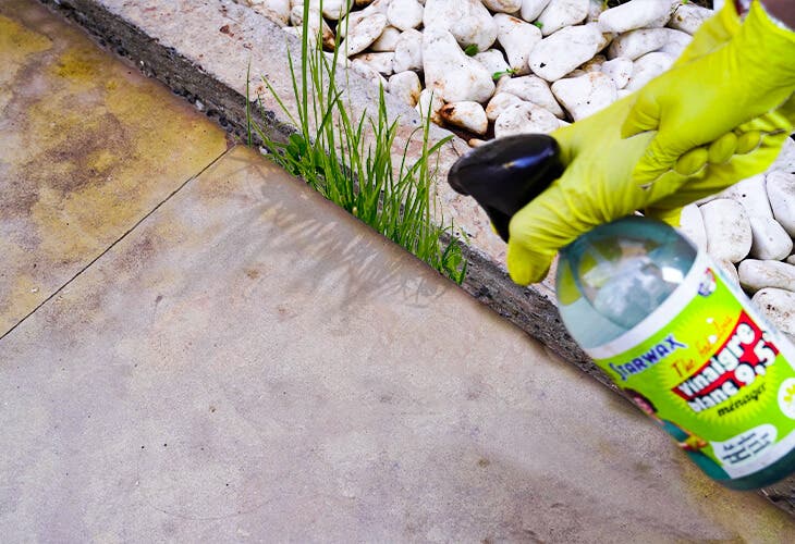 Vaporiser un spray vinaigre et bicarbonate de soude sur les mauvaises herbes