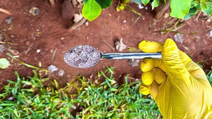 Verser une cuillère de café et de bicarbonate sur la terre